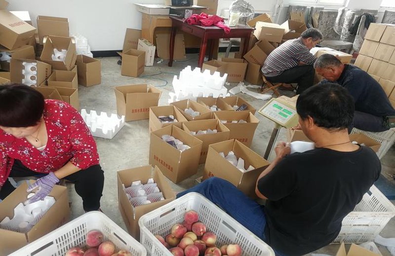 网购技巧大揭秘：轻松成为购物达人